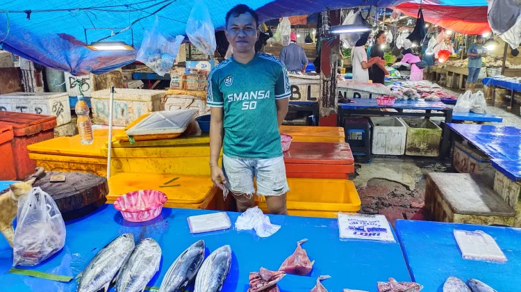 Harga ikan di Tolitoli naik karena banyak nelayan tidak melaut