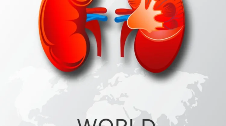 Hari Ginjal Sedunia: Kenali Penyakit Ginjal sejak Dini