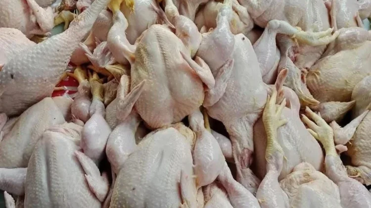 Menjelang Lebaran, Harga Ayam Potong di Pasar Buol 'Terbang' ke Rp95 Ribu per Ekor