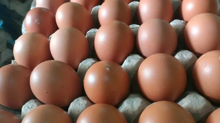 Harga Telur Ayam Naik Jelang Idul Fitri, Capai Rp80 Ribu per Rak