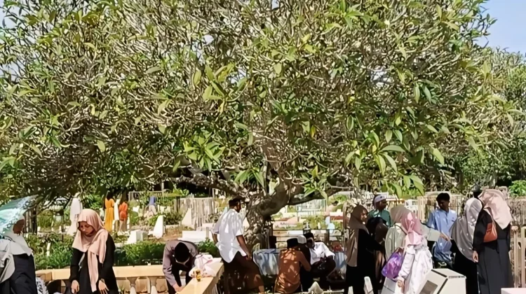 Warga Tolitoli Ramai Ziarah Kubur di Hari ke Dua Lebaran