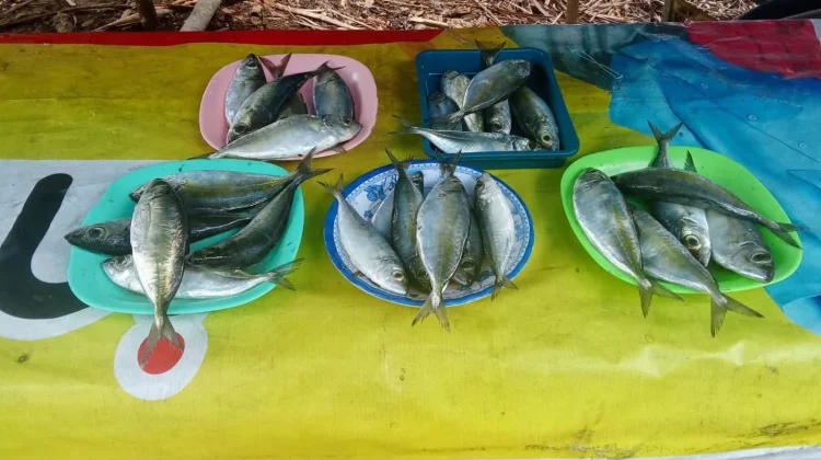 Harga Ikan Melonjak Pasca Idul Fitri, Warga Buol Mengeluh