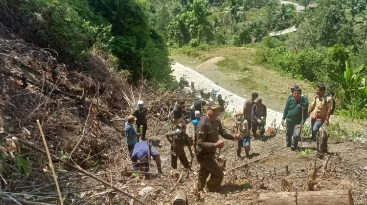 Peringati Hari Hutan Sedunia, KPH Gunung Dako : Jaga Kelestarian Hutan