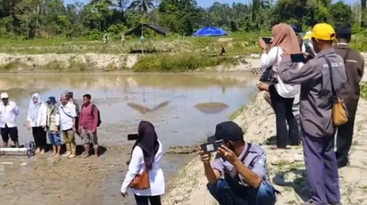Gerakan Tanam Nasional di CSR Desa Bajugan.