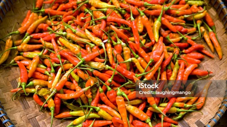 Harga Cabe Rawit di Pasar Kampung Bugis Buol, Tembus 75 ribu per Kilogram