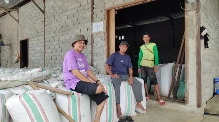 Harga Karung Melonjak, Petani Tolitoli Terdampak imbas Konflik Global