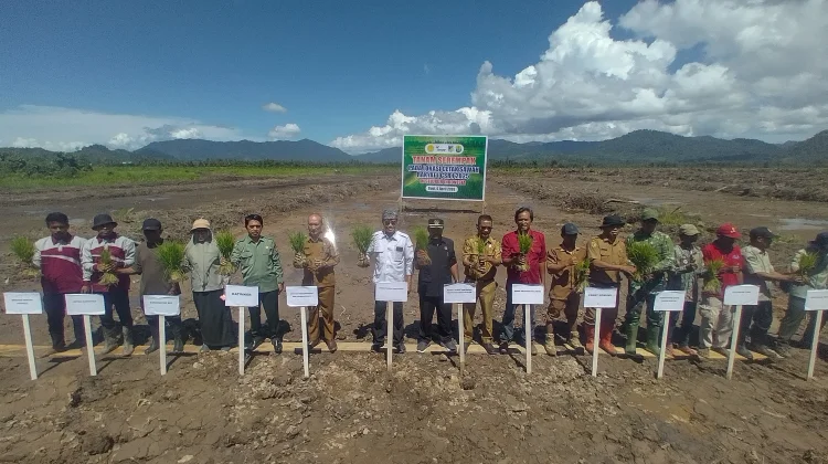 Tanam Serempak Cetak Sawah Rakyat Digelar di Desa Soraya