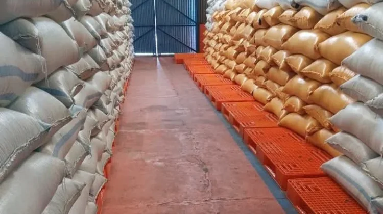 Stok Pangan di Tolitoli Aman Pasca Idulfitri, Warga Diminta Tidak Panic Buying