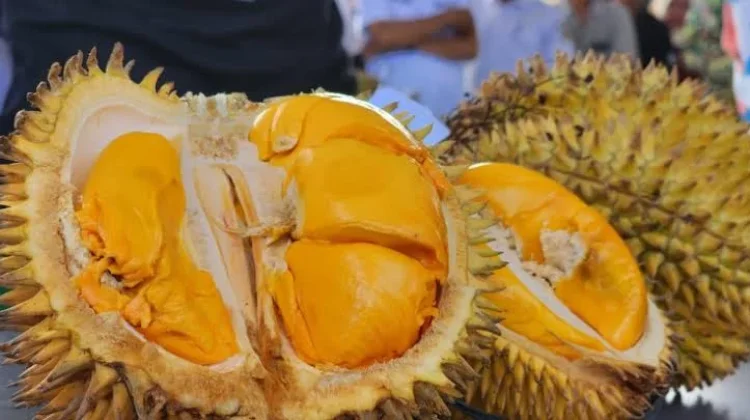 Sulteng Targetkan Transformasi Ekonomi lewat Industri Durian