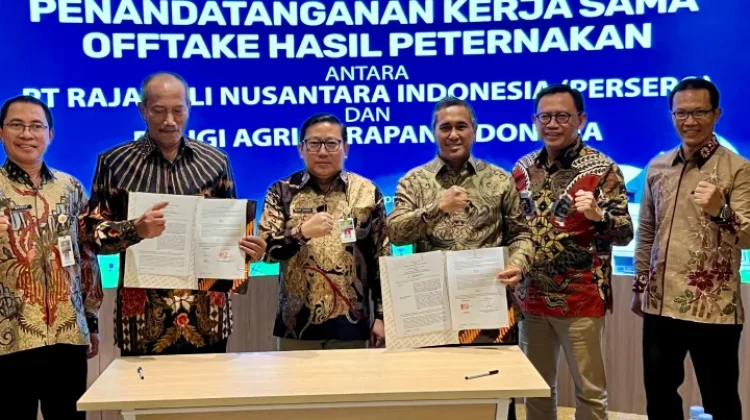 Kementan Percepat Hilirisasi Ayam, Tekankan Aksi Nyata