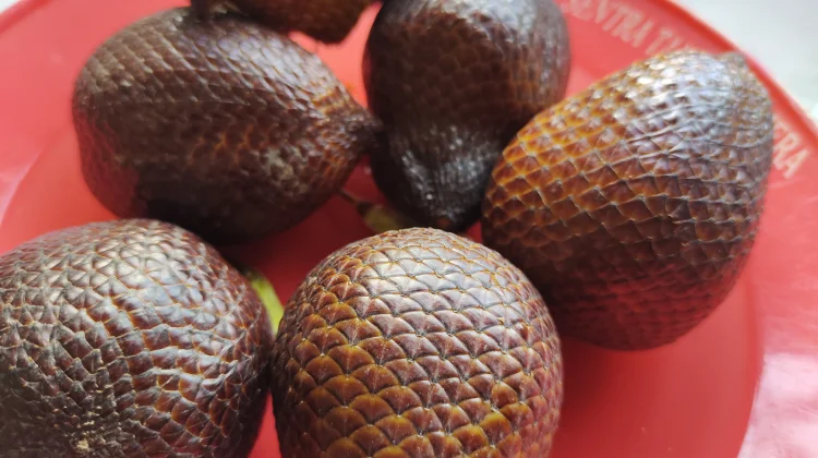 Beberapa manfaat buah salak untuk ibu hamil