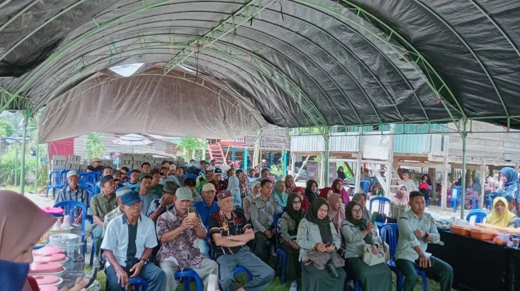 Ketua DPRD Tolitoli Ingatkan Petani Atur Waktu Tanam