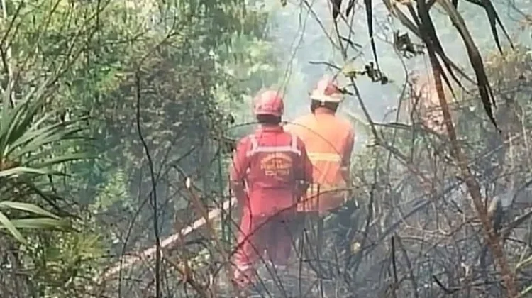 Camat Tolitoli Utara Imbau Warga Waspadai Karhutla saat Cuaca Panas