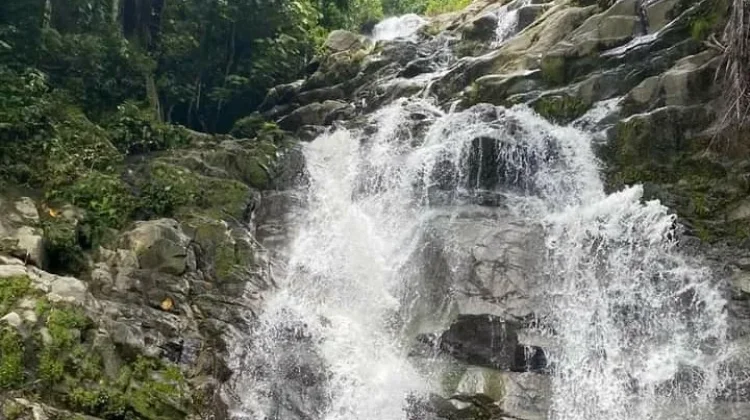 Air Terjun Tattiri Tolitoli, Destinasi Alam Asri yang Mudah Dijangkau