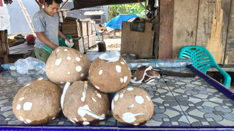 Sukri Bertahan Usaha Gilingan Kelapa di Tengah Persaingan