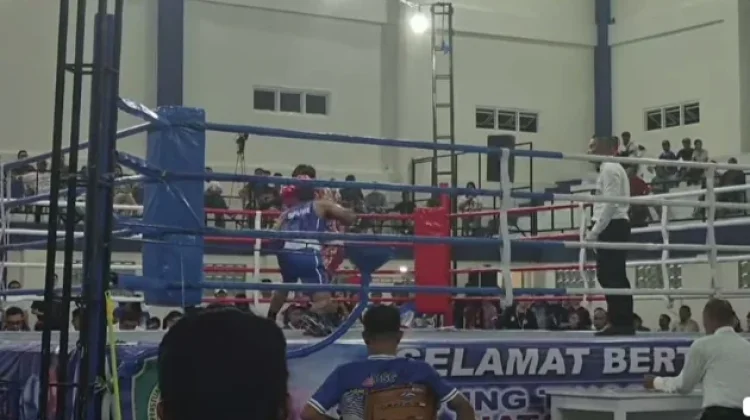 Atlet Tinju Tolitoli Ukir Prestasi di Kejuaraan Bupati Sangihe Cup 2026