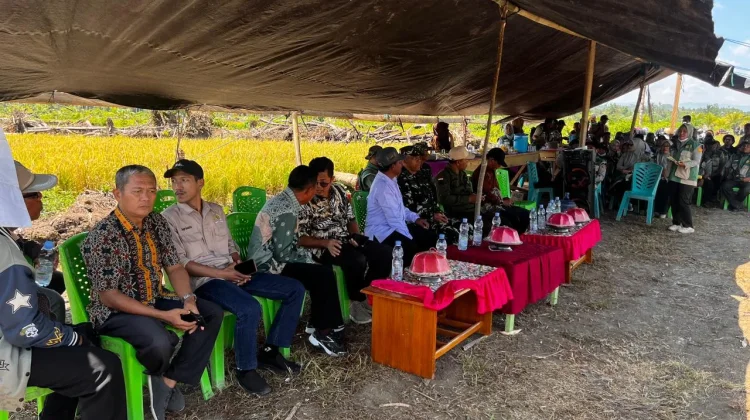 Sinergi Membuahkan Hasil, Desa Unone Gelar Panen Perdana Program Cetak Sawah