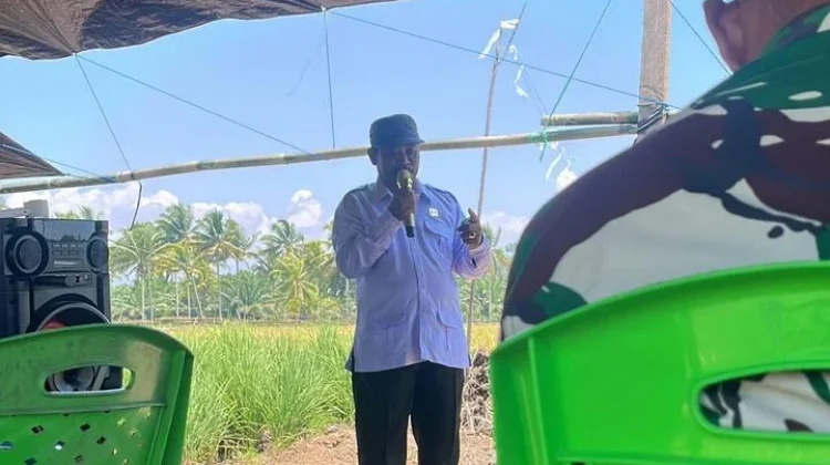 DPRD Buol Dorong Peningkatan Standar Pengerjaan Program Cetak Sawah Rakyat