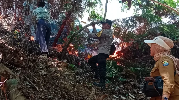 BMKG Imbau Waspada Kebakaran Hutan dan Lahan saat Cuaca Panas