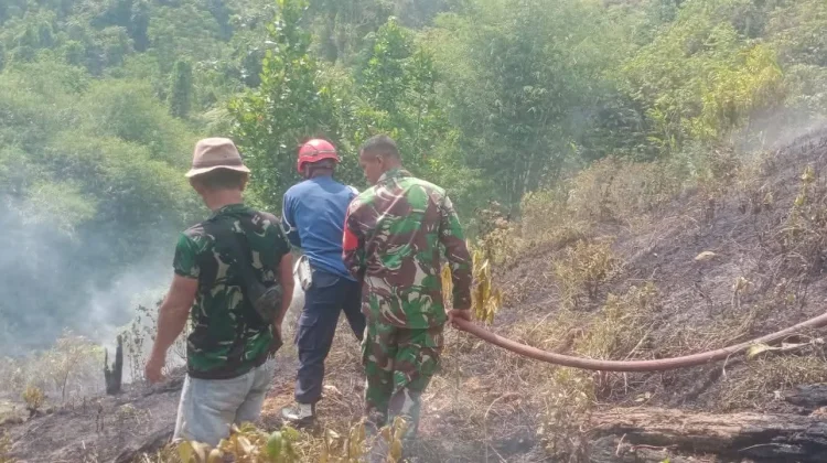 Waspada Musim Kemarau, Warga Tolitoli Diimbau Cegah Risiko Kebakaran