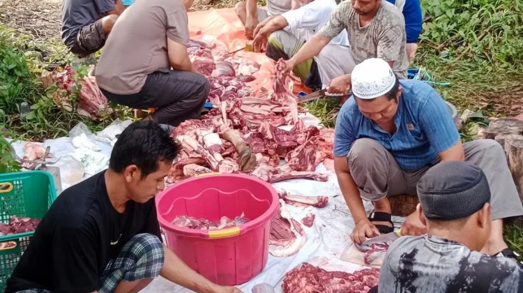 Masjid Al-Madinah Bombolayang Buka Program Qurban, Harga Mulai Rp2,5 Juta
