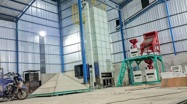 Kualitas Beras Tolitoli Perlu Kolaborasi Semua Pihak