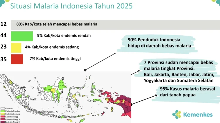 Kemenkes: Eliminasi Malaria Butuh Konsistensi hingga 2030