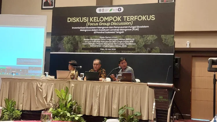FGD Bahas Inventarisasi dan Fungsi Mangrove Sulteng 2026