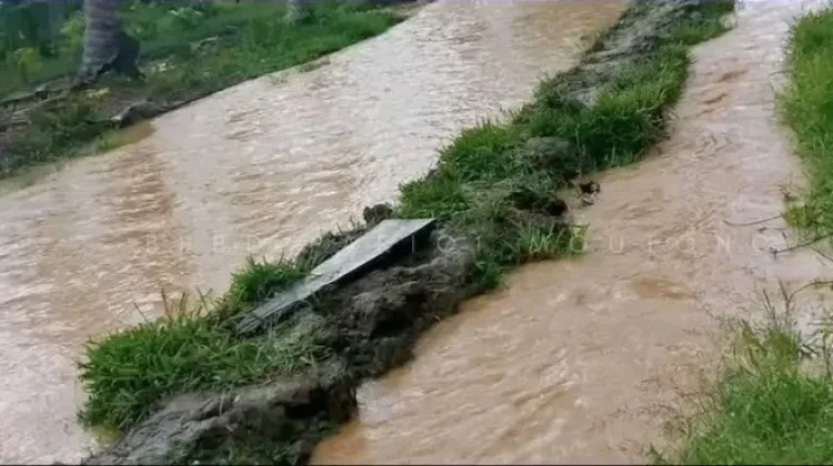 Banjir Terjang Salepae dan Moutong Utara, Tanggul Jebol