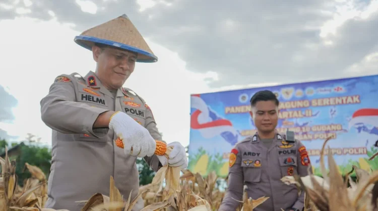 Wakapolda Sulteng Hadiri Panen Raya Nasional di Desa Loru