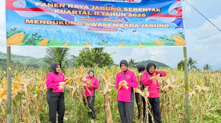 Bhayangkari Tolitoli Panen Jagung Dukung Swasembada Pangan
