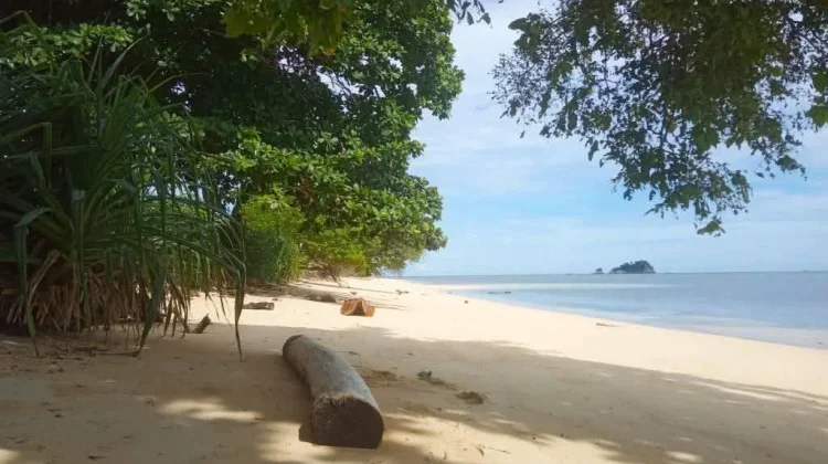 Kades Lingadan Surati BNN Sulteng Soal Narkotika