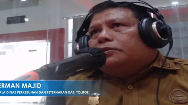 Dinas Perkebunan dan Peternakan Tolitoli Jamin Kesehatan Hewan Kurban Bebas PMK