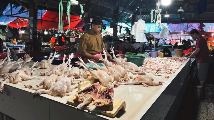 Jelang Idul Adha, Penjualan Ayam di Susumbolan Menurun