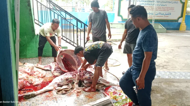 Muhammadiyah dan LAZISMU Tolitoli Sembelih 6 Hewan Qurban