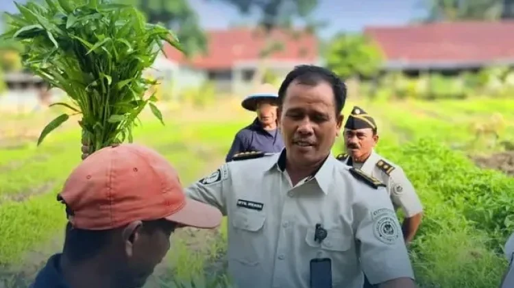 Lapas Parigi Panen Ratusan Sayur, Dukung Program Swasembada Pangan