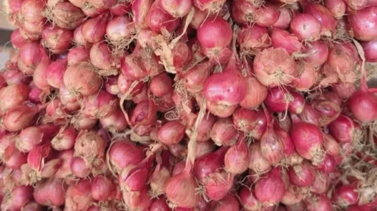 Stok Kurang Harga Bawang Merah Melonjak