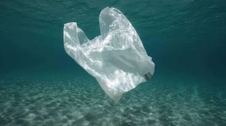 Sampah Plastik Laut Mengkhawatirkan, Perlu Aksi Nyata Bersama