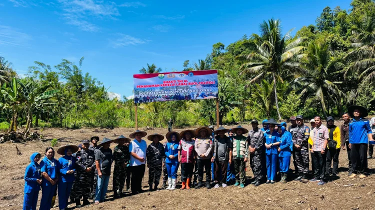Lanal Buol Tolitoli Tanam Kedelai Dukung Ketahanan Pangan Nasional