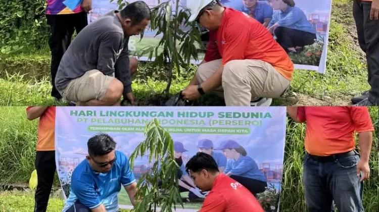 Peringati Hari Lingkungan Hidup Sedunia Pelindo Tolitoli Tanam Pohon