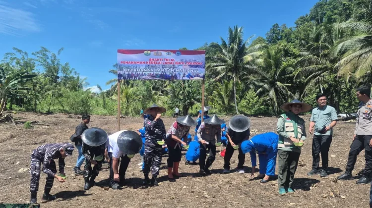 Genjot Produktivitas Kedelai di Buol, Tim Penyuluh Fokus Ubah Pola Pikir Petani