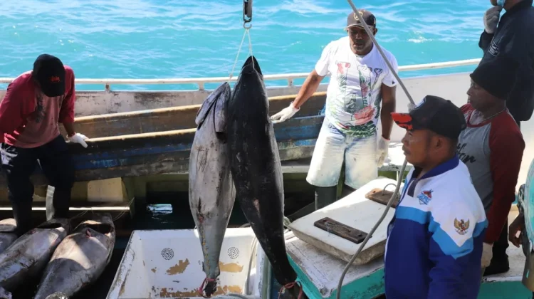 Pengawasan Minim, Illegal Fishing Masih Marak di Perairan Buol