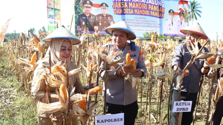 Kapolres Parigi Moutong Hadiri Panen Raya Jagung di Lobu Mandiri