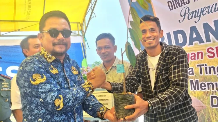 Bibit Durian Montong Disambut Antusias Petani Kinapasan