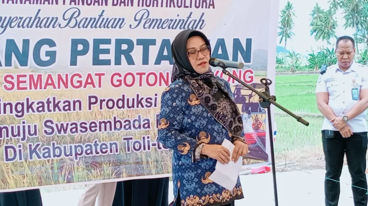 Pemkab Tolitoli Perkuat Dukungan untuk Tingkatkan Produksi Pertanian