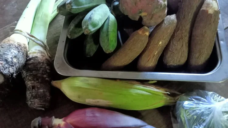 Lampasio Perkuat Produksi Jagung dan Umbi Dukung Pangan Lokal
