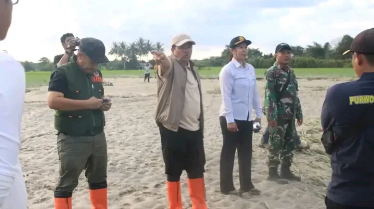 Banjir Torue Rusak Sawah Siap Panen, Pemkab Gerak Cepat Tangani