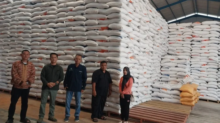 Stok Beras Tolitoli Aman Meski Dibayangi Ancaman El Nino