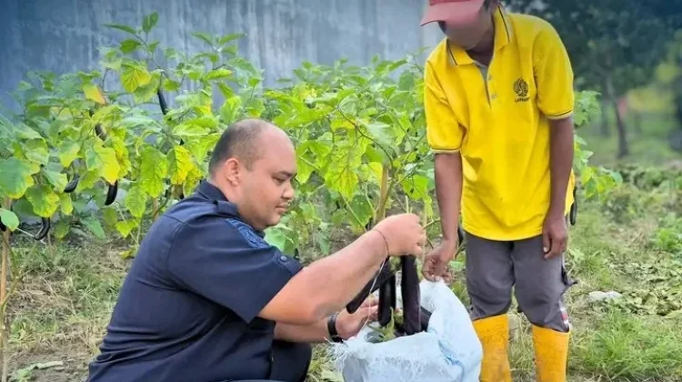 Optimalisasi SAE, Lapas Parigi Sukses Panen 29 Kg Terong