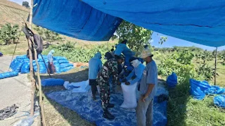 Pendampingan Petani Jagung Jadi Wujud Dukungan Ketahanan Pangan